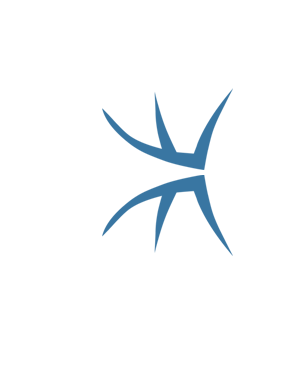 Ensidia logo