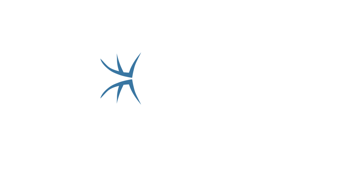Ensidia logo